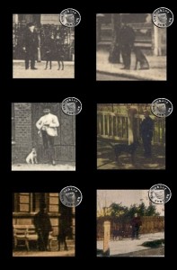 Hunde in Neutomischel - Ausschnitte aus alten Ansichtskarten aus der Sammlung des Wojtek Szkudlarski