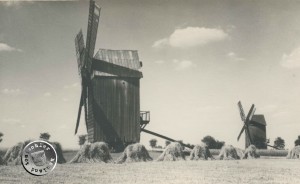Bockwindmühlen im Tomischler Hauland - Fotoaufn. Enderich, in Privatbesitz