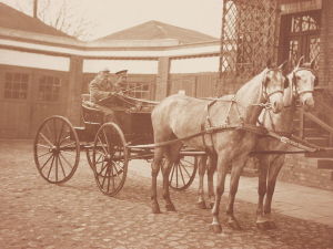 Pferdegespann um 1920 / Bild: https://commons.wikimedia.org/wiki/File:Opalenicka_KD_1920_fot16.jpg?uselang=de